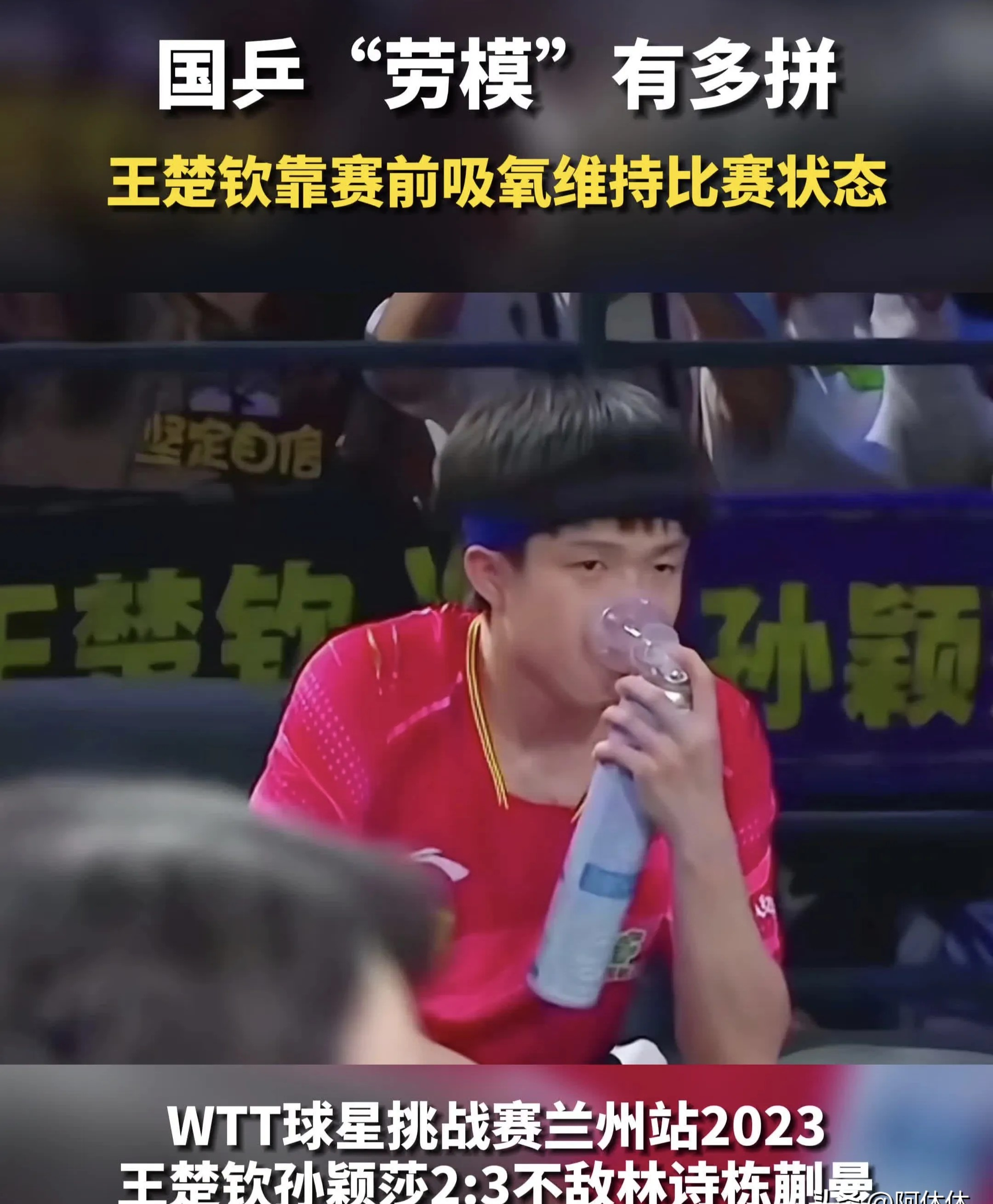 棒球赛事中国乒战胜对手成功落败