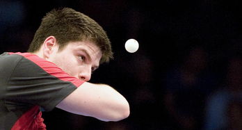 开云下载-波兰乒乓球队逆转瑞典乒乓球队，奥恰洛夫绝境逆转，点燃全场激情！